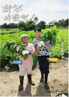 搞笑真人秀推荐